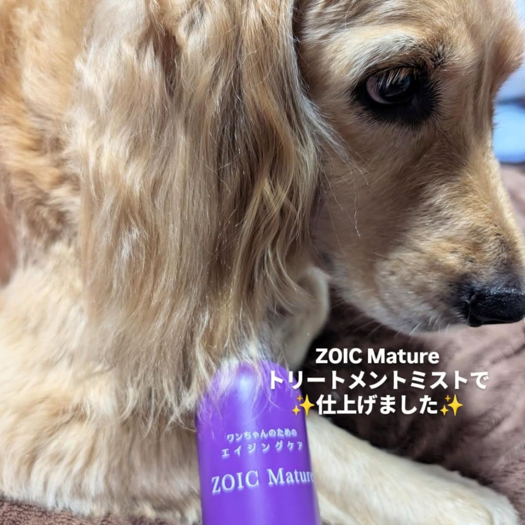 ゾイック マチュア アンバサダー ボイス