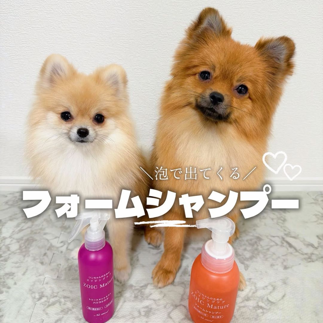 ゾイック マチュア アンバサダー ボイス