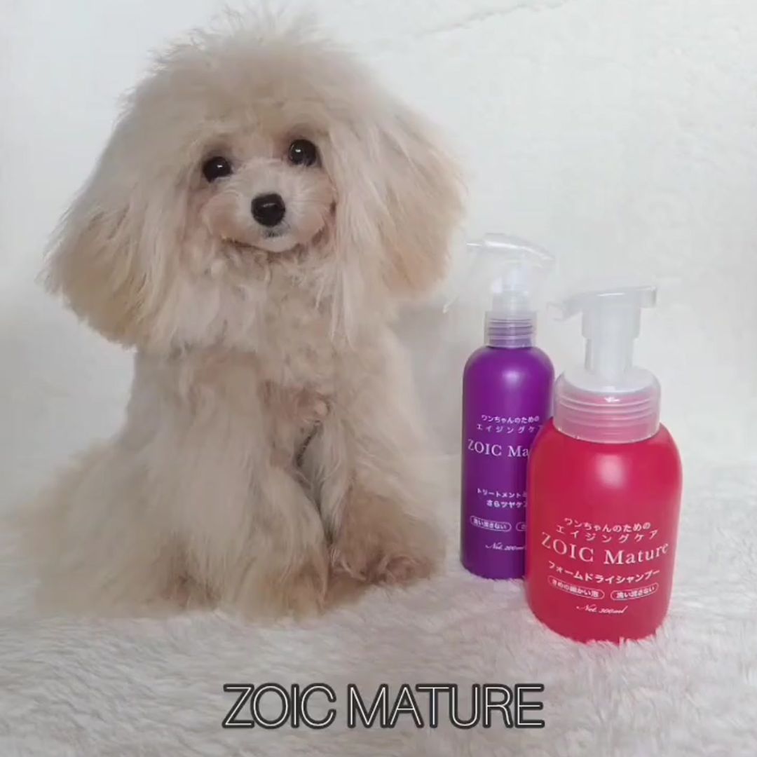 ゾイック マチュア アンバサダー ボイス