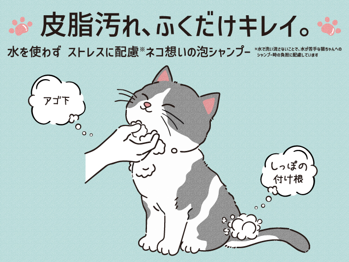 ゾイック N キャッツ ドライフォームシャンプー