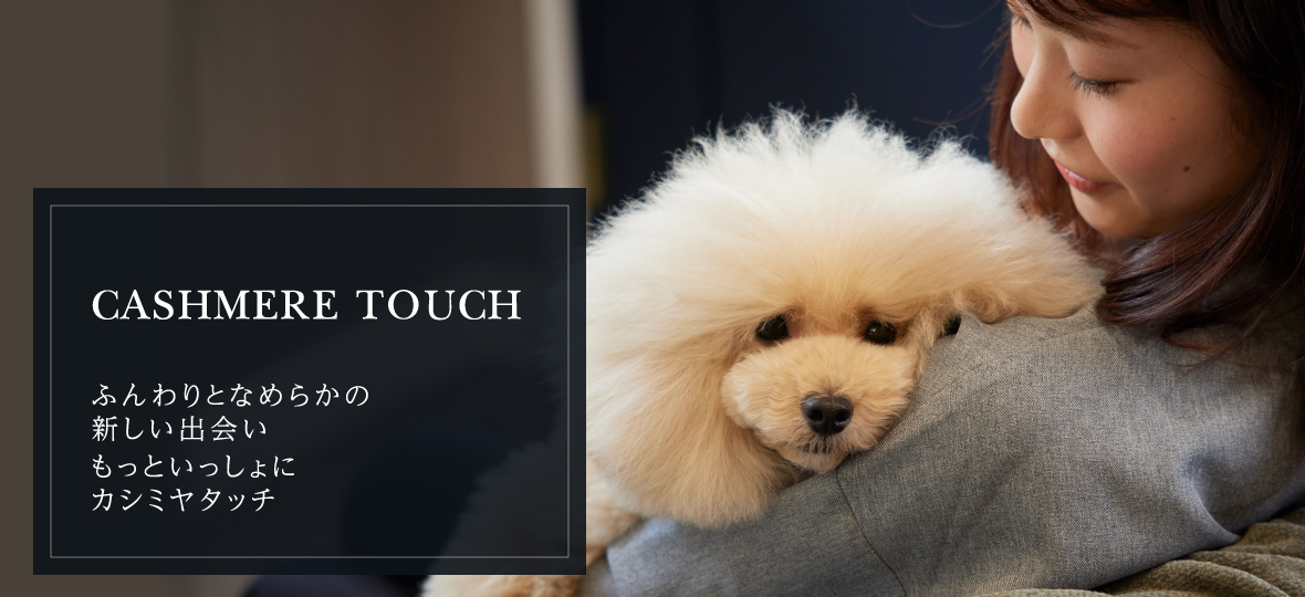 CASHMERE TOUCH ふんわりとなめらかの新しい出会いもっといっしょにカシミヤタッチ