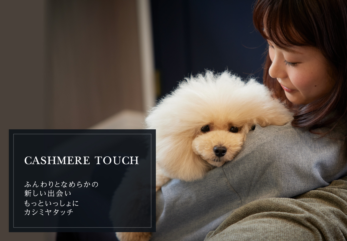 CASHMERE TOUCH ふんわりとなめらかの新しい出会いもっといっしょにカシミヤタッチ