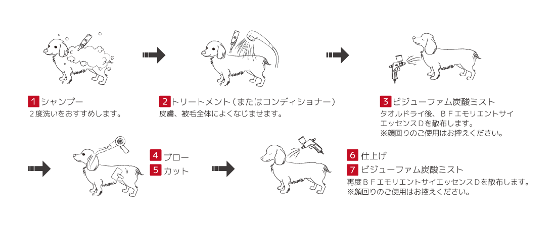 1.シャンプー 2.トリートメント 3.ビジューファム炭酸ミスト 4.ブロー 5.カット 6.仕上げ 7.ビジューファム炭酸ミスト