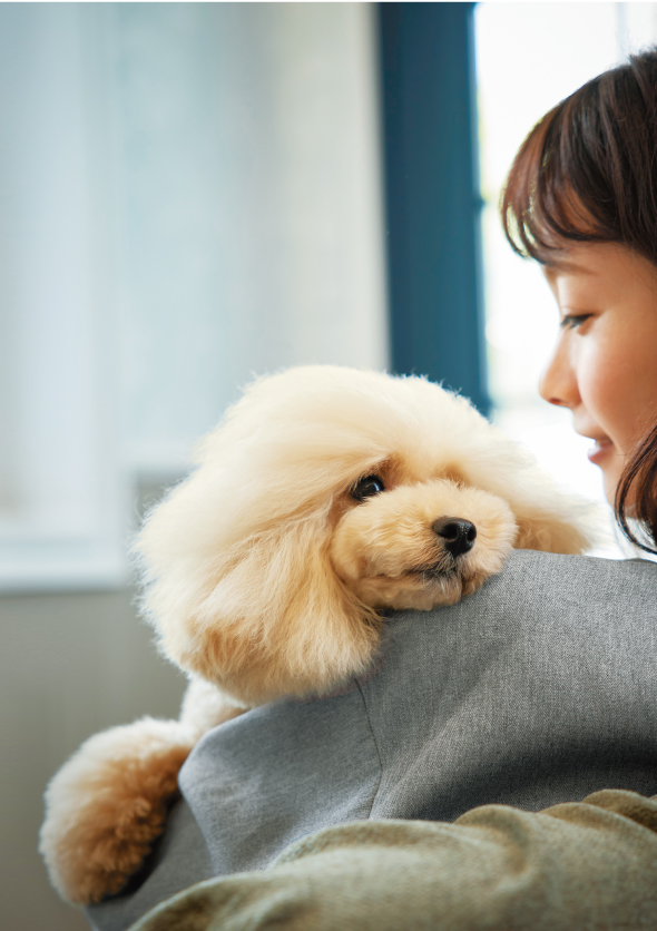 ふんわりとなめらかの新しい出会いもっといっしょにカシミヤタッチ