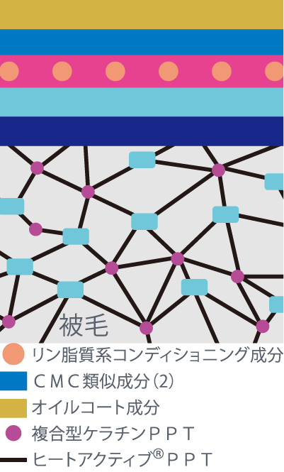 ヒートアクティブ®PPTがケラチンPPT、複合型ケラチンPPTと結びつき被毛のダメージを補修、うるおいをあたえ、持続させます。 さらにCMC類似成分がツヤとうるおいをあたえます。