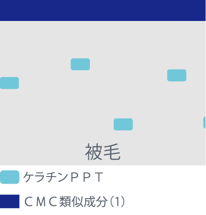 CMC類似成分が被毛に吸着