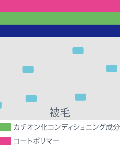 カチオン化コンディショニング成分が被毛をふんわり軽やかに仕上げ、コートポリマーが仕上がりを持続させます。