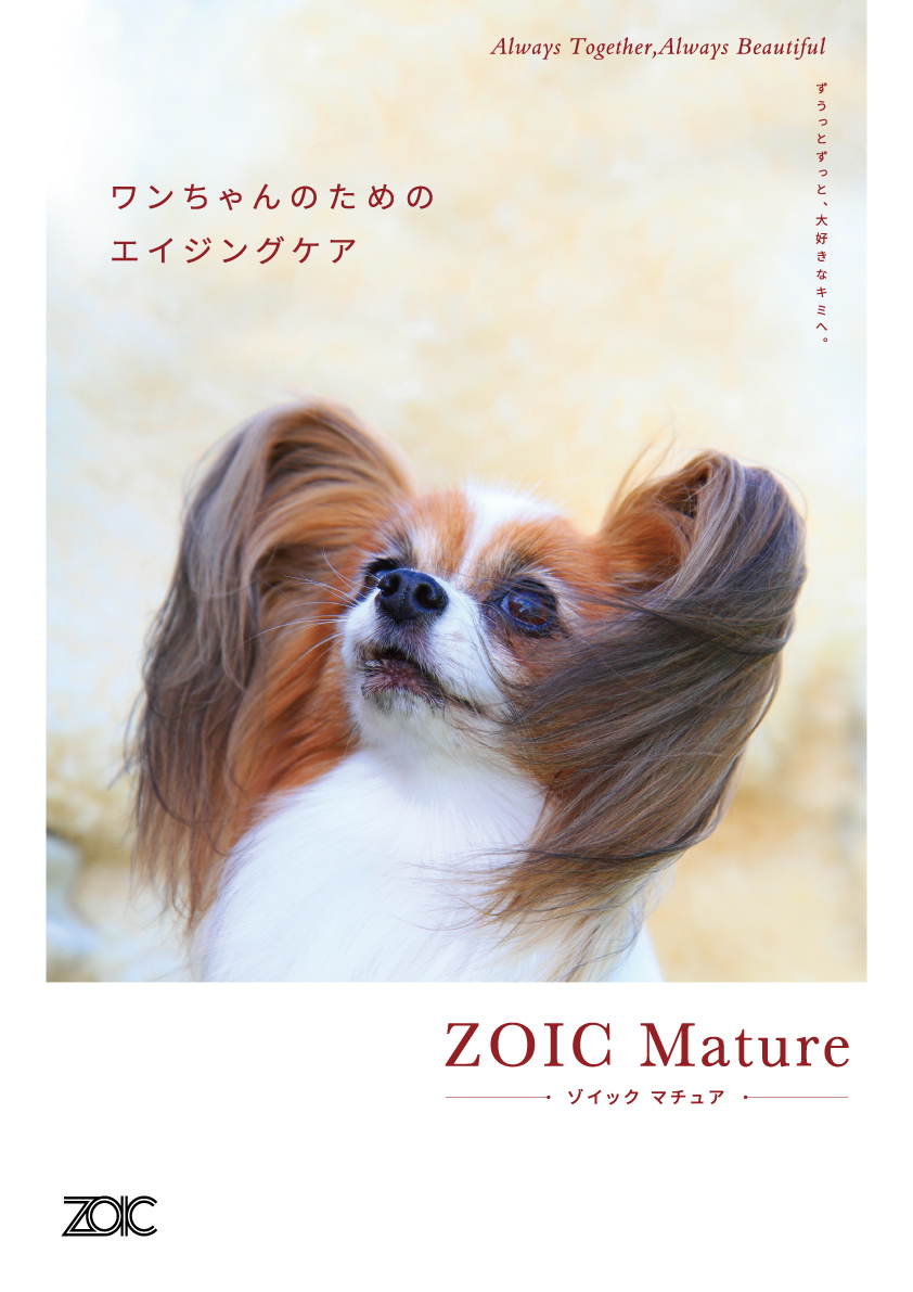 シニア犬向けエイジングビューティーケア
