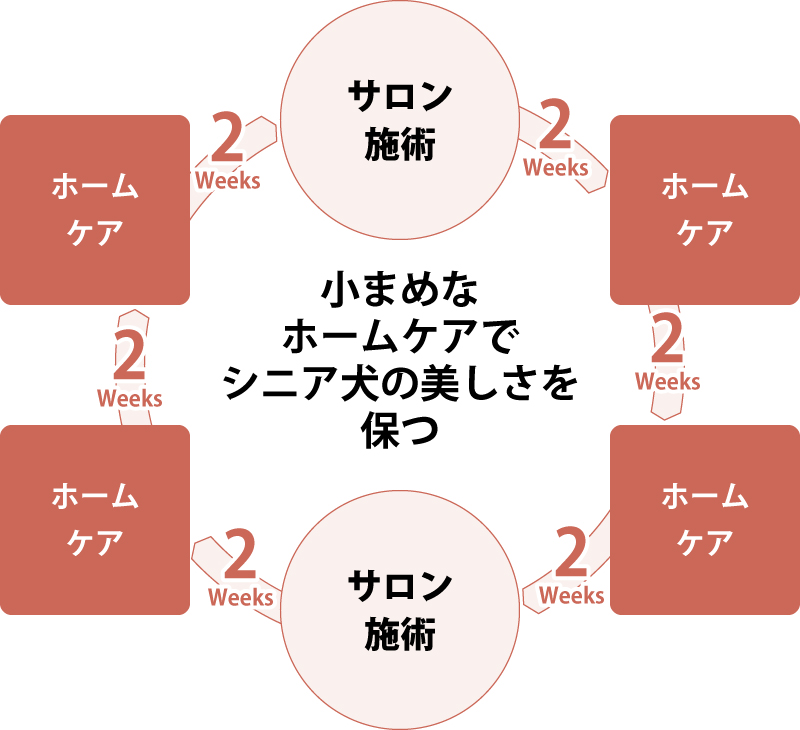 ペットケアの習慣化