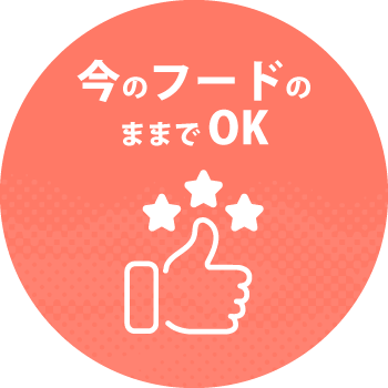 今のフードのままでOK