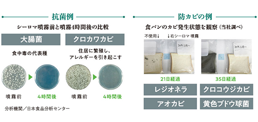 抗菌例　シーロマ噴霧前と噴霧4時間後の比較　防カビの例　食パンのカビ発生状態を観察