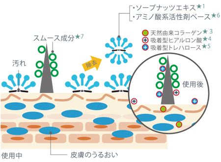 泡立ちとすべりに優れたアミノ酸系活性剤ベースとソープナッツエキスが、うるおいを残しながら汚れをしっかりと洗浄