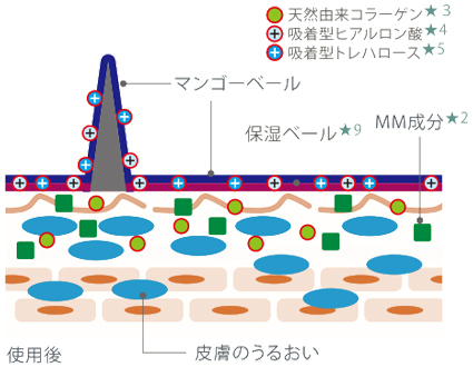 MM成分が被毛と皮膚の水分バランスを整えます。マンゴーバターが皮膚表面と被毛にマンゴーベールを形成し、被毛にすべりをあたえます