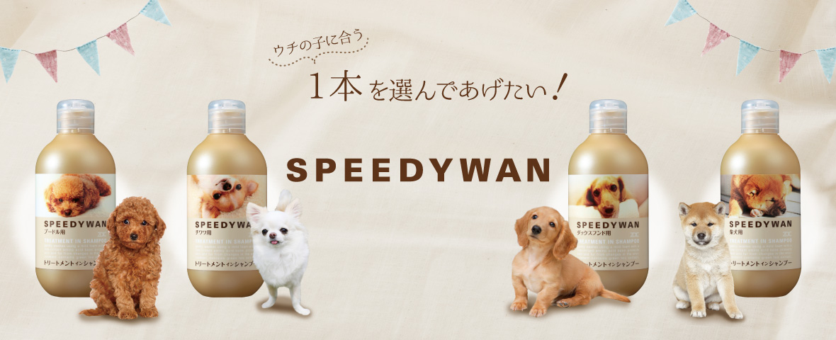 SPEEDYWAN